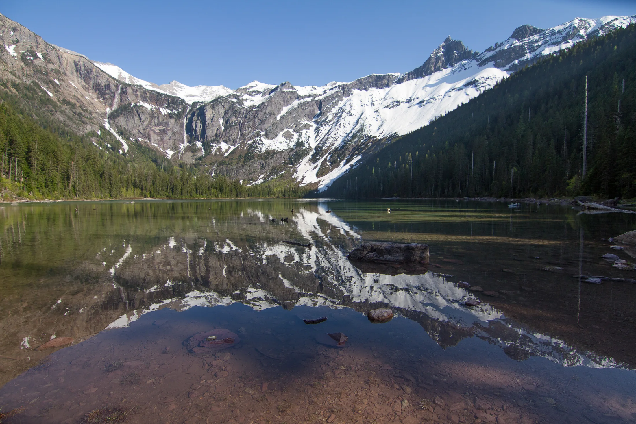 Avalanche Lake surrounded by steep mountains and forest in Glacier National Park